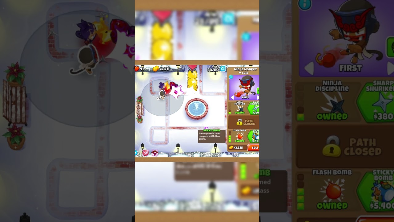 Day 90 of trying to black border all of BTD6 