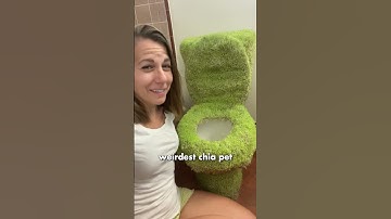 60lbs of chia seeds!