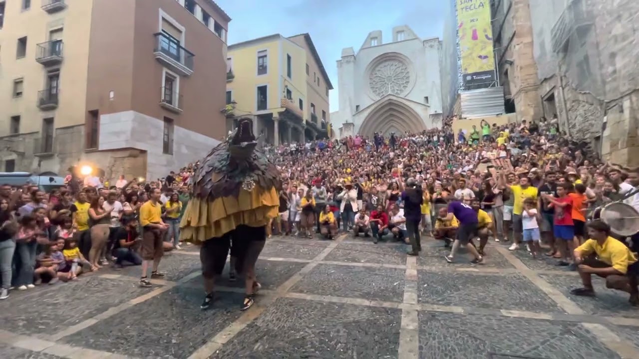 Cucafera de Montblanc - Sta Tecla 2022. Amparito Plaça de les Cols