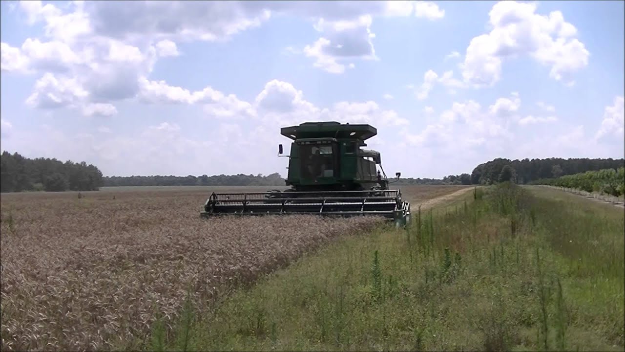 SK Farms 2015 Wheat Harvest Terrell Farm 1 
