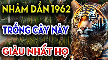 Nhâm Dần 1962 Khổ Đến Mấy Trồng Cây Này Sẽ Hút Tài Lộc Vào Nhà, Tiền Bạc Ùn Ùn Kéo Đến.
