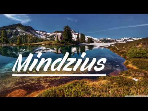Hardwell & Joey Dale feat. Luciana vs. Thomas Newson - Arcadia (Mindžius Edit)