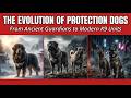 Why Dogs Became Humanity’s Ultimate Protectors