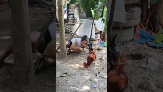 #shortvideo #goodvibes #youtubeshorts #youtubevideo #youtube