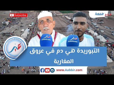 تبوريدة ماشي غير مهرجان التبوريدة هي دم في عروق المغاربة