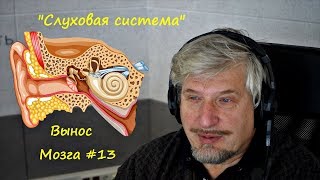 Сергей Савельев Слуховая система Вынос мозга #13