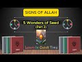 Signs of ALLAH | 5 Wonders of Seed (Part 2) | #allah #signs #facts #earth #wonders #science