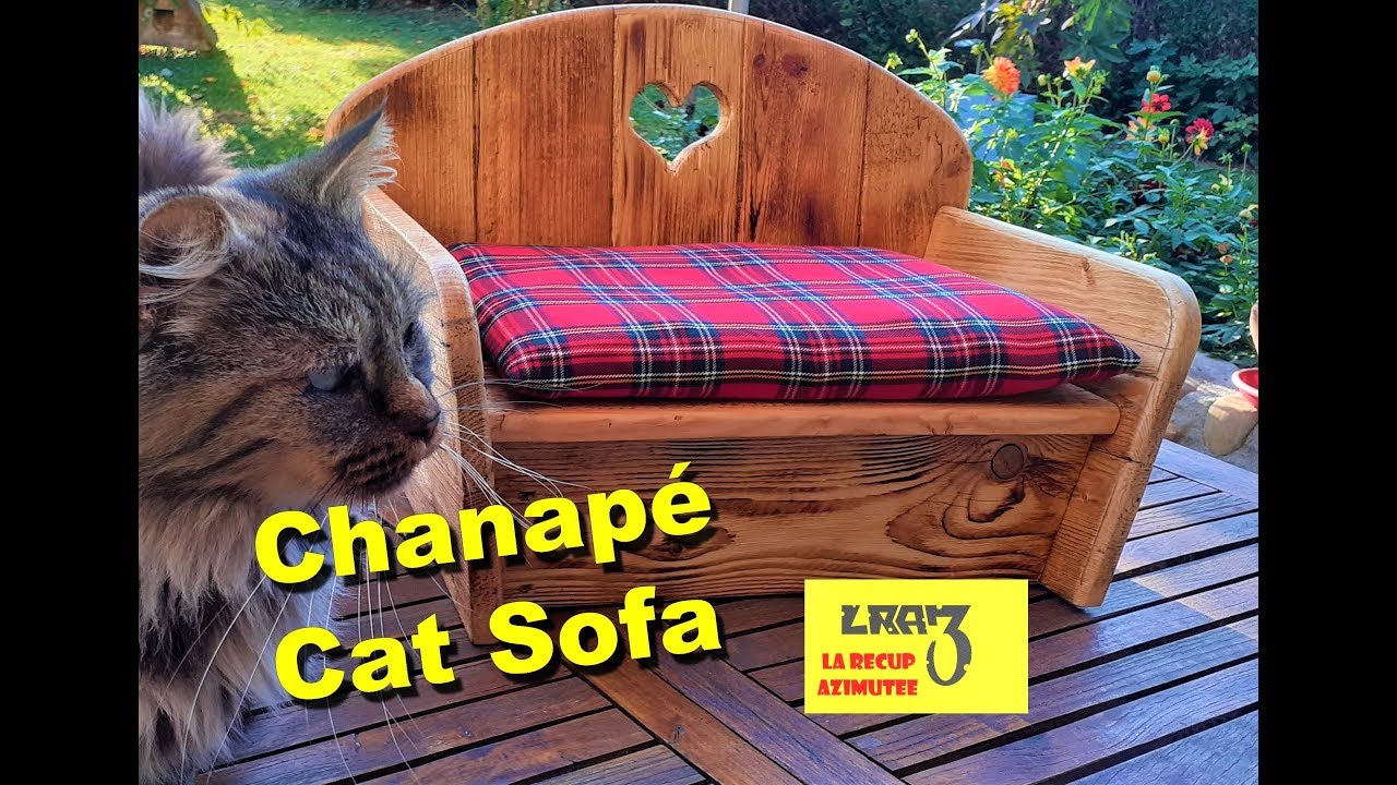 Canape Pour Chat Cat Sofa