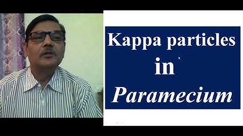 Cytoplasmic Inheritance: Kappa Particles in Paramecium