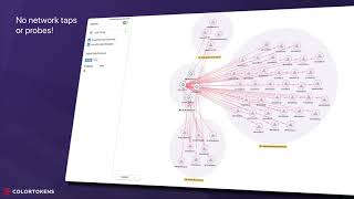 Comprehensive Visibility with ColorTokens
