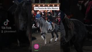 RanchoelEstribo en La Fiesta de Año Nuevo. #iconlens #Fiesta  #caballosbailadores #2024