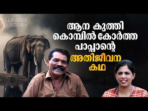 പാപ്പാനെ കൊമ്പില്‍കോര്‍ത്ത് ആന നടന്നു, മരിച്ചെന്ന് വാര്‍ത്ത, ആനപ്പണിയിലേക്ക് വീണ്ടും | Service Story