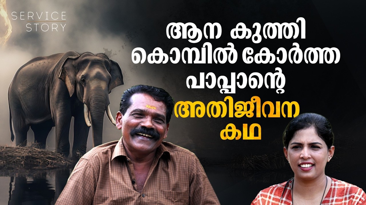 പാപ്പാനെ കൊമ്പില്‍കോര്‍ത്ത് ആന നടന്നു, മരിച്ചെന്ന് വാര്‍ത്ത, ആനപ്പണിയിലേക്ക് വീണ്ടും | Service Story