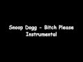 Snoop Dogg - Bitch Please Instrumental
