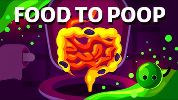 How Does Your Body Turn Food Into Poop