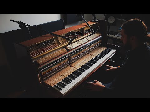 Piotr Wiese - Apart