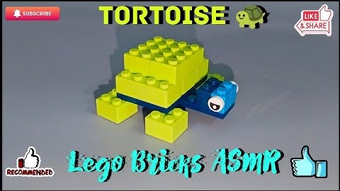 Satisfying Diy ASMR/LEGO Tortoise 🐢| ASMR sound | LEGO Bricks ASMR #asmr #satisfying #diy