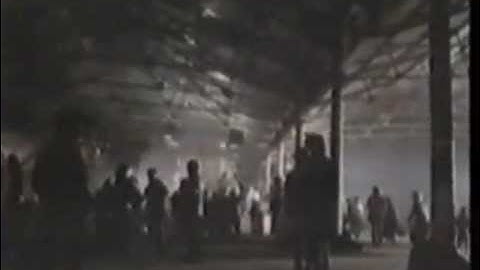 Sense of purpose By Third World Music Video