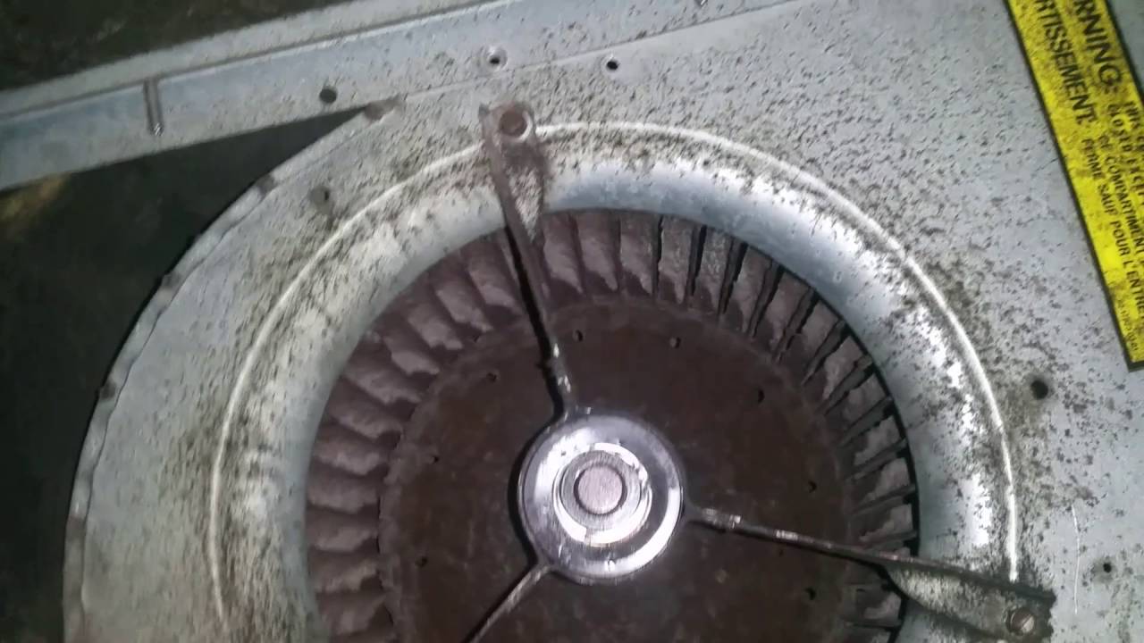 Furnace Blower Bearing Replacement