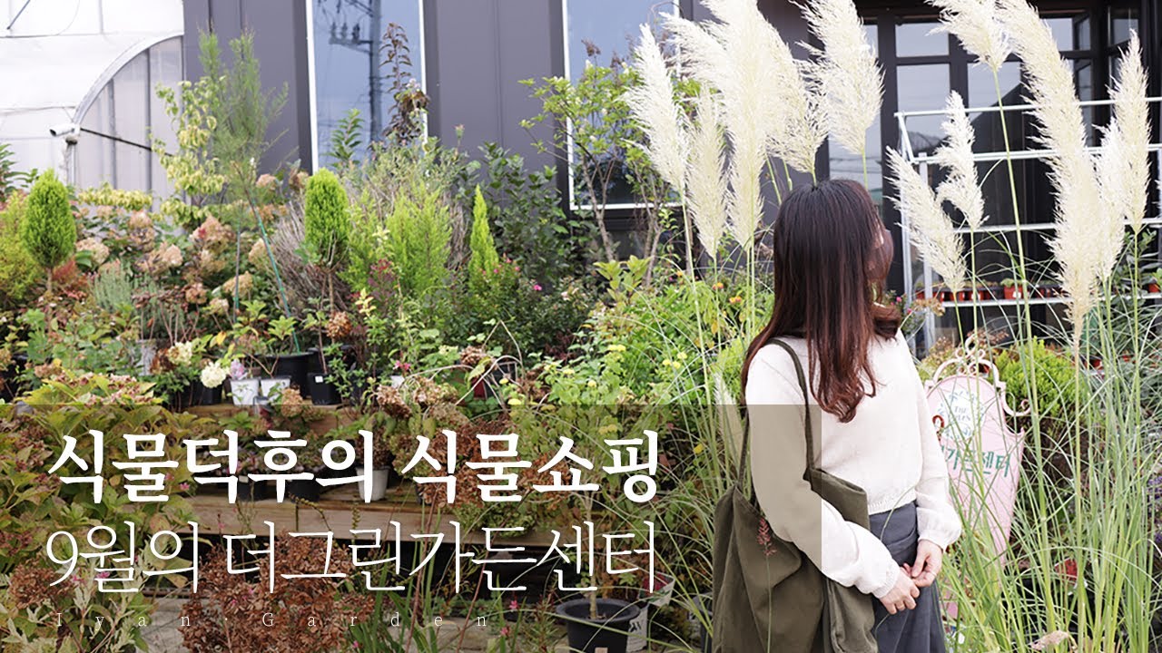 식물 덕후의 식물 쇼핑 | 더그린가든센터에서 어떤 식물들을 데려왔을까요?