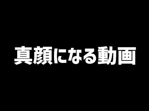 【最後まで見れたらあなたはドM】この動画を見た人の80%は( ་ ⍸ ་ )←こうなります