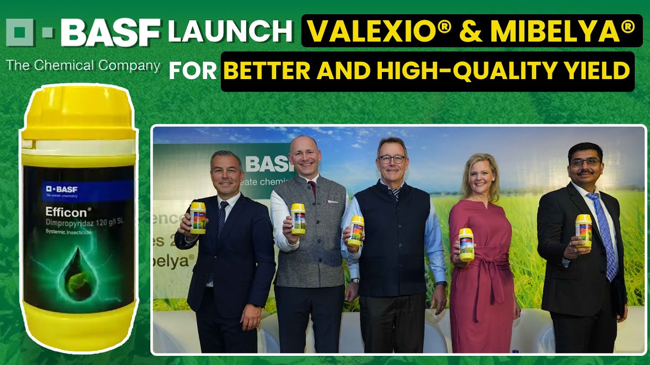 Rice Farming Solutions 2025 || No More Crop Loss? BASF’s New Launch || Valexio® & Mibelya®