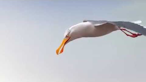 Unity is strength. Best motivational video ever #unity #motivation #animation #travel