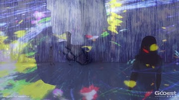 Gooest Produced Interactive Projection Installation -- Flower Sea -- Part 3