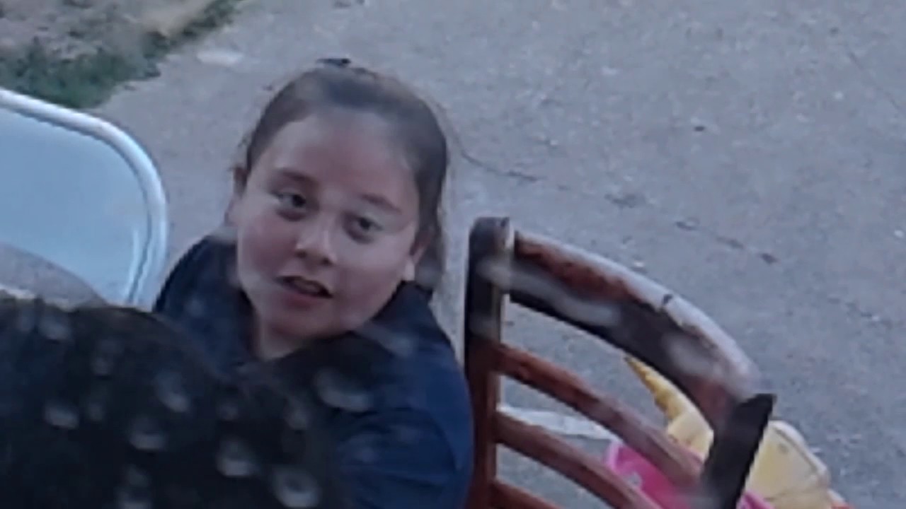 Funniest video ever made YouTube