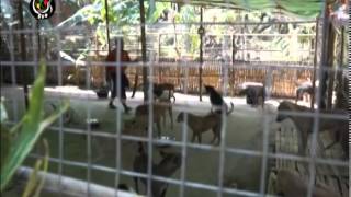 DVB -06-11-2014 ေခြးေလေခြးလြင့္ရုပ္သံမွတ္တမ္း