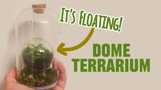 I Made a Unique Moss Dome Terrarium  Easy step by step guide! #mossarium