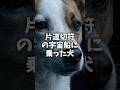 ライカ