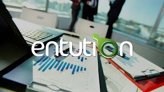 Entution for Sales Net Worth