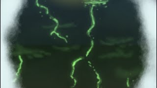 ADOFAI 6-X PULSE (With Tutorials)