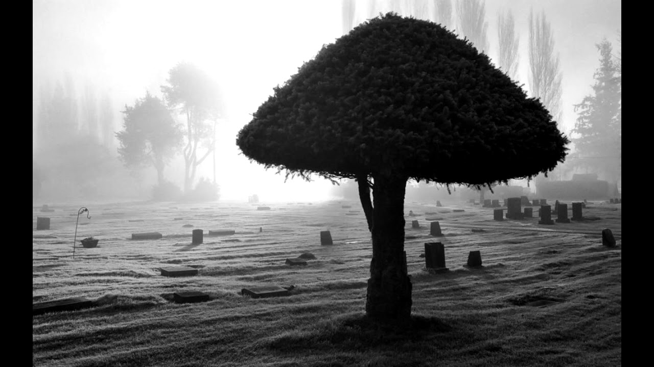 Jesi li od onih koji če biti kažnjavani u kaburu? | dr. hfz. šejh Muhammed Porča ᴴᴰ