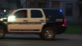 Elmira man stabbed, suspect in custody
