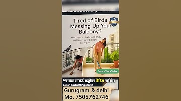 pigeon net installation for gurugram and delhi