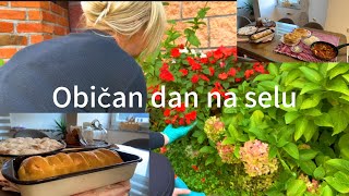 Posljednji Sunčani Danivečera Koja Vraća U Djetinjstvostrudla,Buhtleposljednje Uređenje Dvorišta