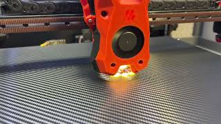 Armored Box Turtle filament change