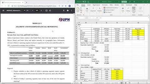 Module 5 - Segment and Interim Financial Reporting