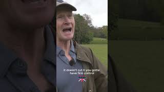 Treats wont stop dogs chasing sheep #farming #backbritishfarming