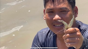 Đi chài ,câu,mò cá ở cầu An Nghĩa,cần giờ dính thấy ham kết quả gặp sự cố…..