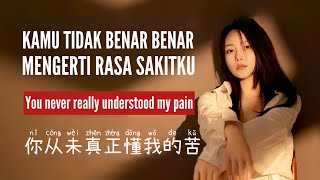 你从未真正懂我的苦 • 洋澜一 • Yang Lan Yi • Kamu Benar Benar Tidak Mengerti Rasa Sakitku • Lirik Terjemahan