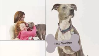 Capital Area Humane Society: Adopt, Volunteer, Support