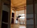 倒立制止の安定感がわたしの強みだと思います。🙂‍↕️🙂‍↕️🙂‍↕️#倒立 #ハンドバランス #handbalance #calisthenics #acrobatics #shorts