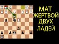 ПОСТАВЬ КРАСИВЫЙ МАТ ЖЕРТВОЙ 2 ЛАДЕЙ В НАЧАЛЕ ПАРТИИ. Шахматы ловушки