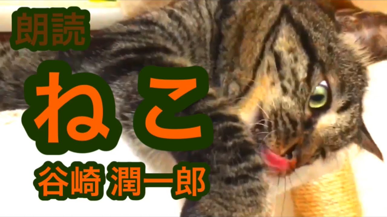 朗読 ねこ 谷崎潤一郎 Reading Neko Junichirou Tanizaki Youtube 朗読 ねこ 谷崎潤一郎 Reading Neko Junichirou Tanizaki Youtube