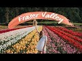 ABBOTSFORD & THE FRASER VALLEY | a guide to everything you need to do in the area