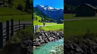 Viral Music Compilations