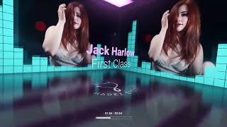 Jack Harlow - First Class  - Visualizer -